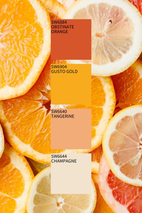 Food Colors Palette, Cut Orange, Color Schemes Colour Palettes, Mood Images, Diy Resin Projects, Pastel Colour Palette, Brand Color Palette, Garden Girls, Painting Services