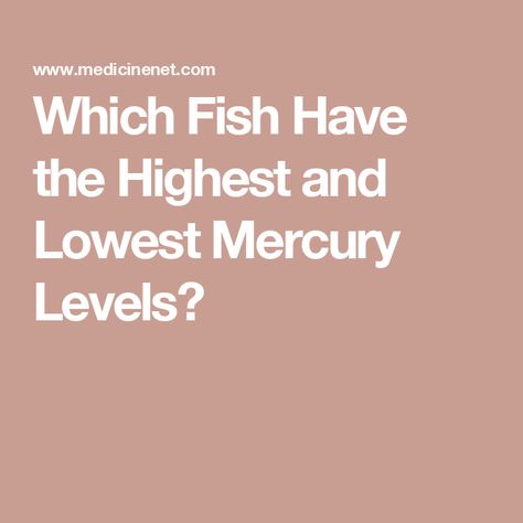 Which Fish Have the Highest and Lowest Mercury Levels? Low Mercury Fish, Fish Allergy, King Mackerel, Nutrition Guidelines, Tuna Sandwich, Aip Diet, Health Living, All Fish, Fatty Fish