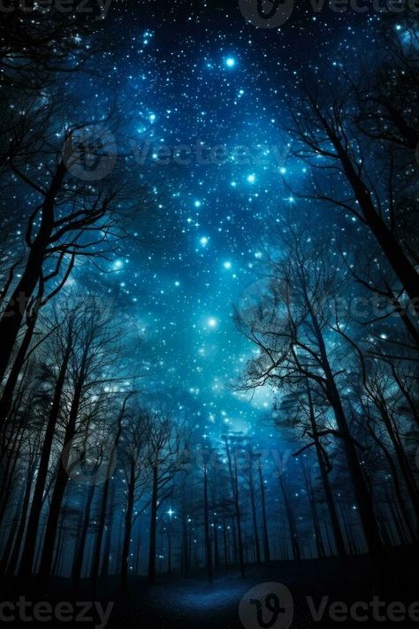 Moonlit forest under starry night sky background with empty space for text Starry Night Backgrounds, Starry Night Forest, Night Bridge, Nursing Home Crafts, Night Sky Background, Starry Night Background, Moonlit Forest, Staircase Wall Decor, Staircase Wall