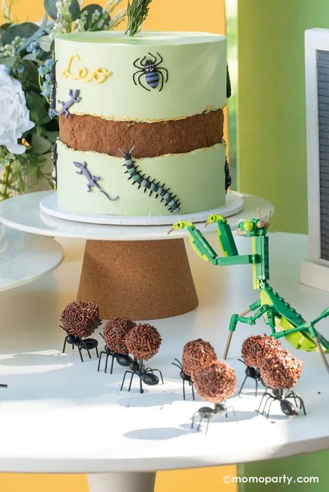 Get ready for a Creepy-Crawly Fun Birthday Bash that'll have your little ones buzzing with excitement! From bug-themed cakes to playful party games, we've got all the inspiration you need to throw the most unforgettable birthday party. Don't miss out on these unique and fun party ideas - Check out momoparty.com for more! Bug Theme Cake, Bugs Party Ideas, Bugs Theme Birthday Party, Bug Cake Ideas, Bug First Birthday Party, A Bugs Life Birthday Party, Bugs Birthday Party Ideas, Bug Themed Food, Insect Party Ideas