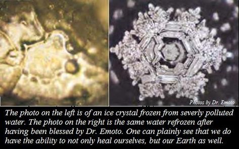 Masaru Emoto Water, Hidden Messages In Water, Masaru Emoto, Mind Unleashed, Water Experiments, Structured Water, Human Dna, Hidden Messages, Ice Crystals