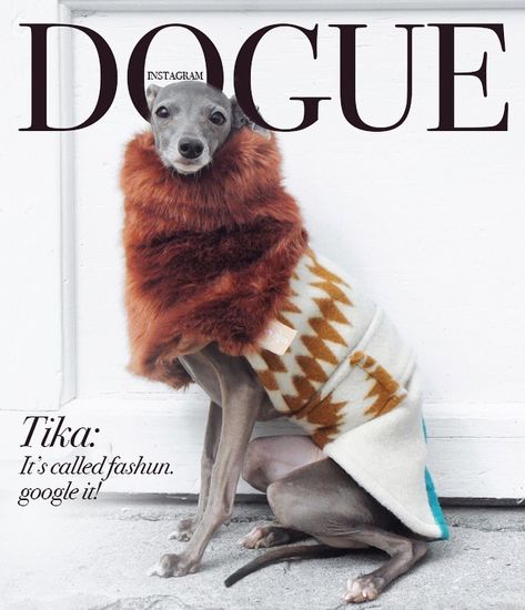 Our 20 Favorite "Dogue" Cover Models – InspireMore Fashion Is My Passion, Dog Magazine, Slay Queen, Magazine Vogue, Dog Photoshoot, Dog Fashion, Dog Branding, Dog Modeling, Pet Fashion