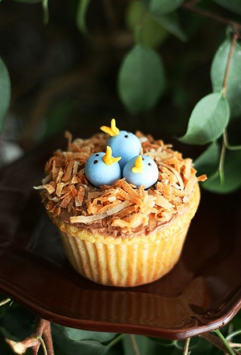 Cupcake Receptek, Easter Cupcake Recipes, Nest Cupcakes, Spring Cupcakes, Easter Desserts Recipes, Animal Cupcakes, Easter Cupcakes, Blue Birds, Cooking Classy