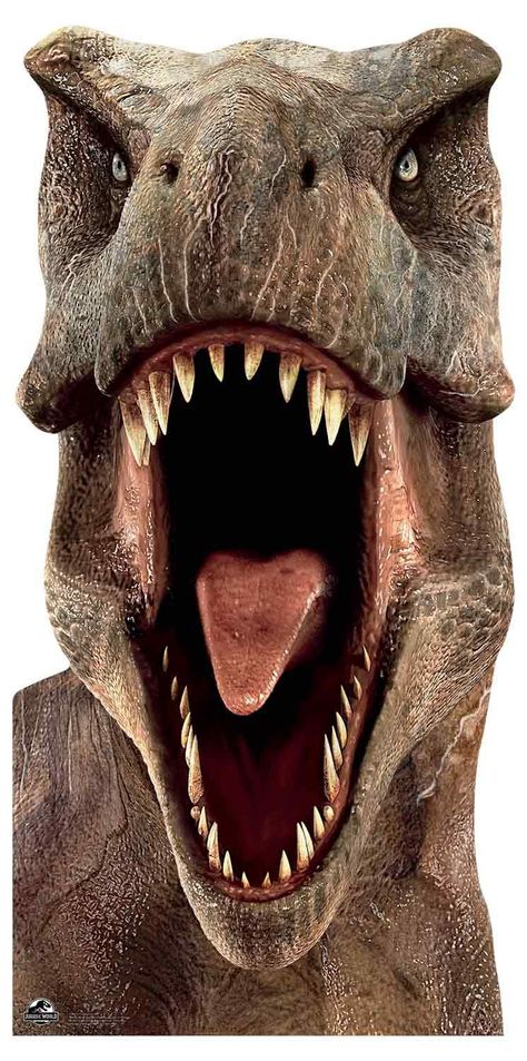 STAR CUTOUTS SC1279 Life Size Cut Out Jurassic World Tyrannosaurus (T-Rex) Dinosaur Stand-in 188cm Tall, Multi Colour,Large : Amazon.co.uk: Home & Kitchen T Rex Front View, Dino Reference, T-rex Art, Long Neck Dinosaur, Trex Dinosaur, Dinosaur Head, Jurassic Park 1993, Dinosaur Tracks, Dinosaur Footprint