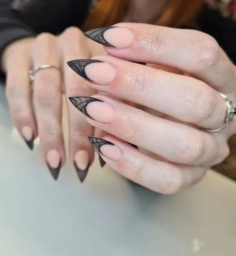 Halloween Nails Pointy, Spiderweb French Tip, Spider Web Nails Easy, Acrylic Nails Stiletto, Pointy Nails, Nails Stiletto, Paws And Claws, Halloween Spider Web, Nail Tutorials