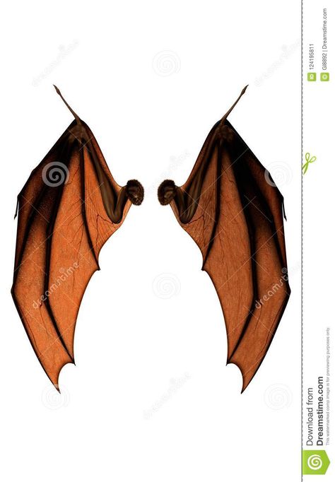 Fairy With Bat Wings, Bat Wings Folded, Bat Wing Drawing Reference, Folded Bat Wings Reference, Bat Wings Outline, Bat Wing Anatomy, Bat Wing Reference, Bat Wings Drawing Reference, Person With Bat Wings