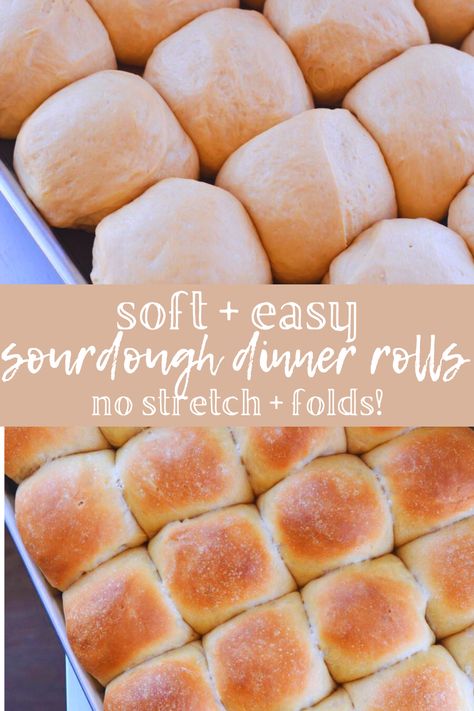 If you're needing an easy sourdough dinner rolls recipe to feed a crowd, you need this recipe! They are the softest buttery dinner rolls. A great beginner sourdough bread recipe that makes two dozen rolls and requires no stretch and folds. Great rolls for sliders, sandwiches, or a side #healthy #sourdough #easysourdoughrecipes #homemadedinnerrolls #healthyrecipes #homemadebread #nokneadbread #healthybread Vegan Sourdough Rolls, Easy Sourdough Dinner Rolls, Sourdough Dinner Rolls With Starter, Sourdough Slider Buns, Sourdough Sub Rolls, Quick Sourdough Rolls, Easy Sourdough Rolls, Sourdough Sandwich Rolls, Recipe Using Sourdough Bread