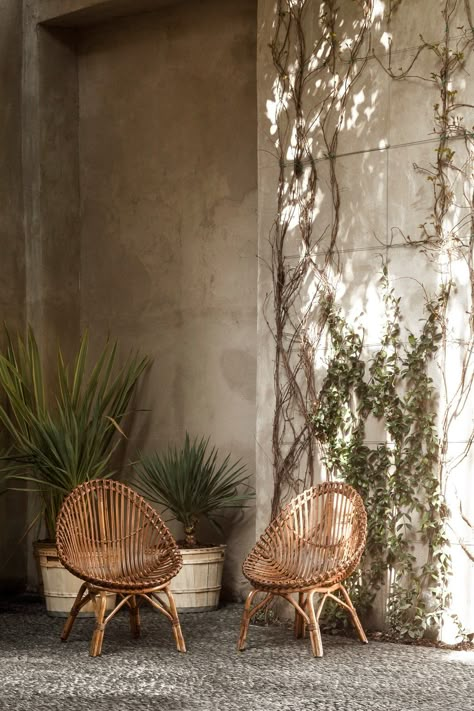 Tropical Interiors, Casa Cook, Astuces Diy, Pierre Jeanneret, Milan Design, Design Gallery, Rustic Interiors, Cafe Design, Interior Inspo