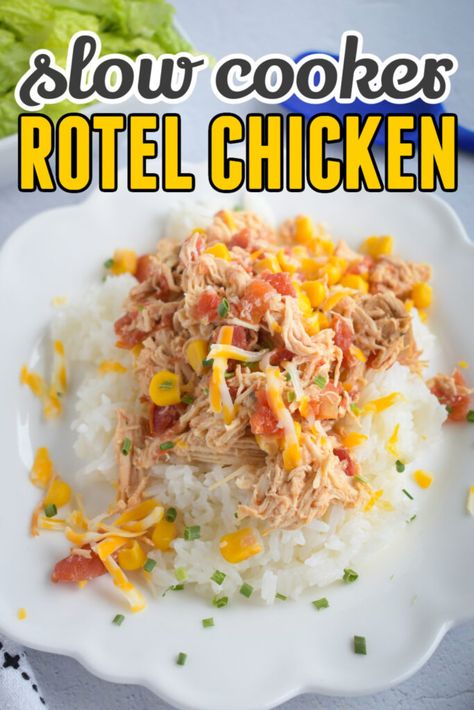 Chicken Rotel Recipes, Dr Pepper Chicken, Chicken Recipes With Cream Cheese, Tenderloin Recipes Crockpot, Frozen Chicken Crockpot, Chicken Breast Recipes Slow Cooker, Rotel Chicken, Chicken And Rice Crockpot, Rotel Recipes