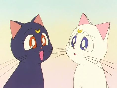 Luna and Artemis Sailor Moon Cat, Sailor Moon Screencaps, Sailer Moon, Luna And Artemis, Sailor Moon Luna, Cartoon Cats, Sailor Moon Stars, Sailor Moon Aesthetic, Sailor Moon Wallpaper