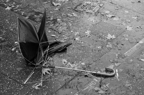 Rain - Broken Umbrella Broken Umbrella, Umbrella Photo, Dark Love, Persona 5, Love At First Sight, Less Is More, Art Project, Umbrella, Flash