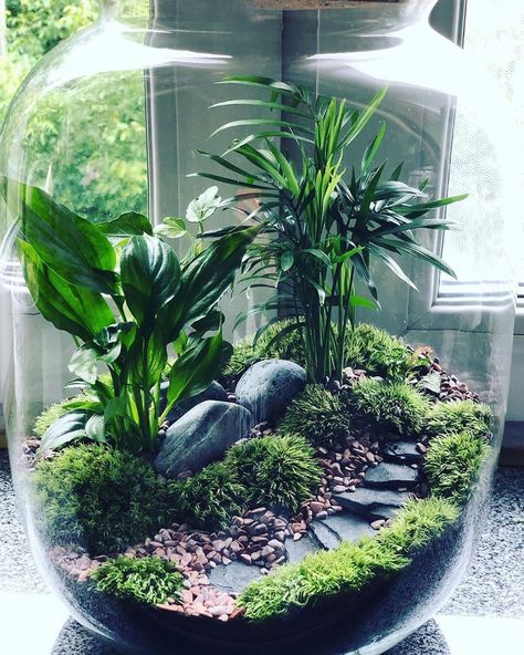 Terrarium Imaginarium on Instagram: “Little garden path terrarium made by @wonder3168 from Poland 🇵🇱 — Follow us @terrarium.imaginarium” Isopod Terrarium, Flower Terrarium, Diy Succulent Terrarium, Beautiful Terrariums, Bottle Garden, Moss Garden, Indoor Gardens, Garden Terrarium, Terrarium Diy