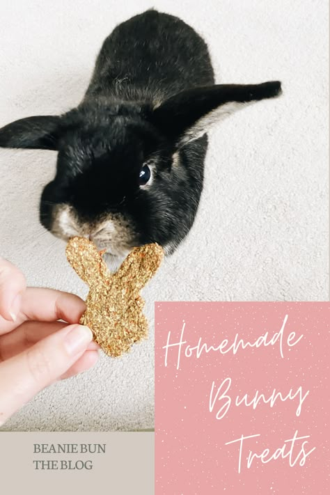 How To Make Bunny Treats, Homemade Treats For Bunnies, How To Make Rabbit Treats, Homemade Rabbit Treats Recipes, Treats For Rabbits Diy, Diy Rabbit Treats Homemade, Home Made Bunny Treats, Homemade Treats For Rabbits, Diy Bunny Treats Recipes