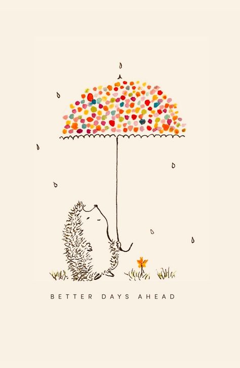 The perfect way to give someone an encouragement with a smile. this Cute little Hedgehog with an umbrella and sentiment says "Better Days Ahead"  SET OF 6 notecards!  Blank inside for your own message. Printed in the USA on beautiful 100# warm white  cardstock. 4 1/4" x 5 1/2" Blank inside.  Includes coordinating colored envelope and recycled kraft box. Sweet Julie Marie greeting cards are designed in my home studio and printed locally. Diy Sympathy Cards Simple, Apology Card Ideas, Cards Thank You, Get Well Drawings, Spring Greeting Cards, Cute Animal Cards, Thank You Drawing, Greeting Cards Drawing, Thinking Of You Cards Handmade