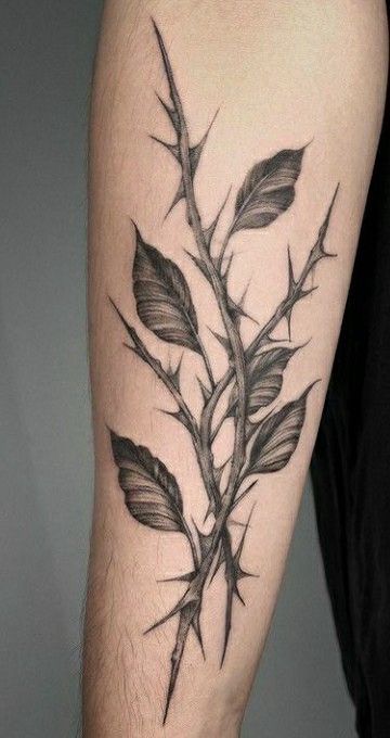 Rose Thorn Tattoo, Rose Vine Tattoos, Thorn Tattoo, Backpiece Tattoo, Pisces Tattoo, Bone Tattoos, More Tattoo, Vine Tattoos, Plant Tattoo