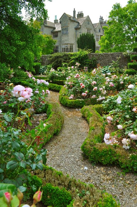 In the Garden | ZsaZsa Bellagio - Like No Other Longwood Gardens, The Secret Garden, Formal Gardens, Gorgeous Gardens, Garden Cottage, Country Gardening, English Garden, Shade Garden, Rose Garden