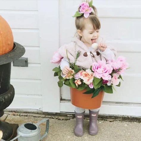 22 DIY Toddler Girl Halloween Costumes » Lady Decluttered Flower Pot Costume, Diy Halloween Costumes For Girls, Diy Girls Costumes, Toddler Costumes Girl, Halloween Costume Toddler Girl, Toddler Girl Halloween, Diy Toddler, Toddler Halloween Costumes