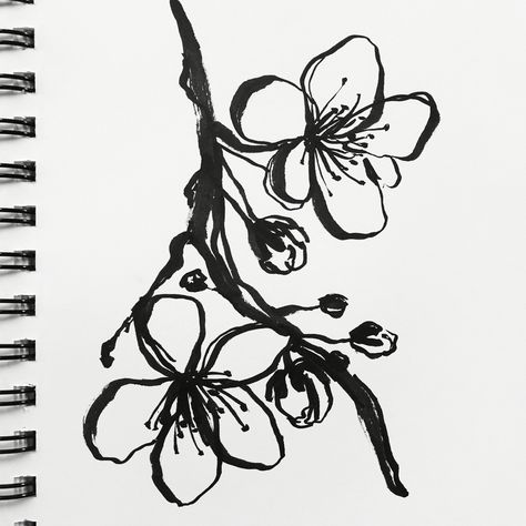 Cherry Blossom Sketch Drawings, Black And White Flower Sketch, Cherry Blossom Linocut, Cherry Blossom Tattoo Black And White, Cherry Blossom Sketch, Cherry Blossom Silhouette, Blossom Sketch, Black Cherry Blossom, Blossom Drawing