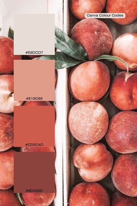 A photo of peaches with four squares showing the main colours of the photo with the Canva hex codes. Colour Palette Mediterranean, Peaches Color Palette, Tuscan Colour Palette, Apple Orchard Color Palette, Canva Colour Codes, Mediterranean Color Palette Tuscan Style, Mediterranean Colour Palette, European Color Palette, Picnic Color Palette