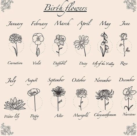 Birth Month Flower Drawing, Aquarius Birth Flower, Astrology Elements, Virgo Flower, Beautiful Love Quotes, Ink Drawings, Month Flowers, Birth Month Flowers, Ink Pen Drawings