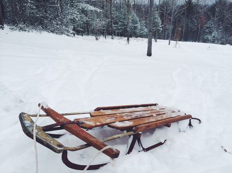 Sled + Snow Sled Aesthetic, Cerberus Aesthetic, Lumberjack Aesthetic, Sled Ride, Dotting Art, Mandala Dotting, Snow Sled, Dog Pics, Luge