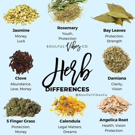 2,013 Likes, 30 Comments - Spiritual Shop (@soulfulvibesco) on Instagram: “What Herb could you use to Manifest with?⁠ Comment below ⬇️⁠ ⁠ ⁠ ⁠ 🚨 We now carry Herbs & Salts 🚨⁠…” Herbs And Spirituality, Protection Herbs And Spices, Witchy Herbs And Spices, Herbs For Intentions, Spiritual Herbs And Spices, Herbs To Burn In Your Home, Wicca Herbs And Uses, Herbs For Spiritual Bath, Protection Herbs Magick