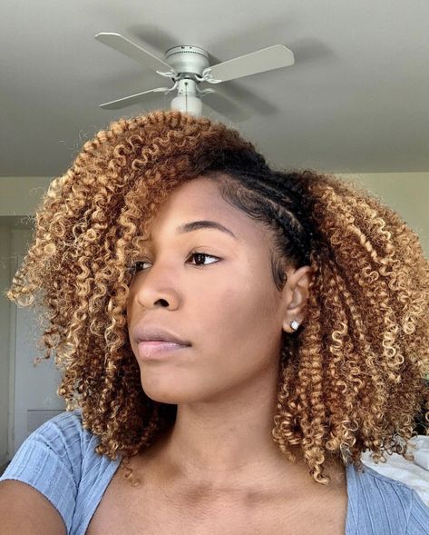 Natural Hair Highlights, Curling Cream, 4a Natural Hair, Highlights Natural, Hair Black Women, Blonde Curly Hair, Colored Curly Hair, Dyed Natural Hair, Honey Blonde Hair