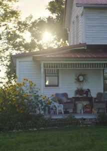 Bryarton Farm | Effortless Fall Porch Decor & Wildflower Gardening Video Bryarton Farm, Farmhouse Shop, Farmhouse Entry, Lilies Of The Field, White Farmhouse, Garden Help, Fall Decorations Porch, Farmhouse Fall, Fall Porch