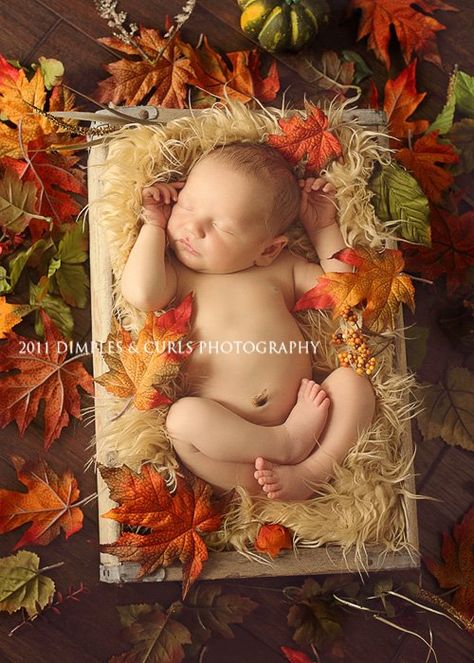 Thanksgiving Photography, Fall Baby Photos, Thanksgiving Photos, Thanksgiving Pictures, Baby First Halloween, Toddler Photography, Baby Poses, Newborn Poses, Newborn Shoot