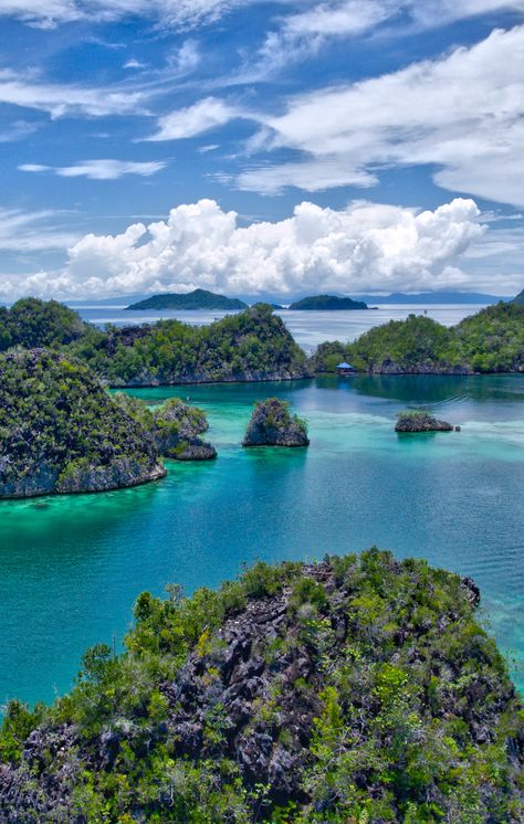 Beutifull Place In The World, Raja Ampat Wallpaper, Raja Ampat Aesthetic, Indonesia Islands Map, Raja Ampat Islands, Raja Ampat Landscape, Pulau Tioman Malaysia, Padar Island Indonesia, Nature Therapy