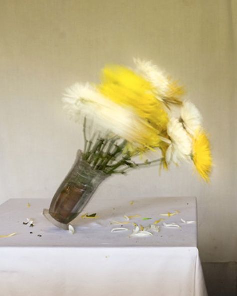 @mignonettetakespictures on Instagram: “James Henkel. Bouquet n2. 2013.” Hipster Cafe, Gerhard Richter, Dragon Age Inquisition, Wheel Of Life, Photo Images, Photography Inspo, Life Photography, Art Plastique, Design Floral