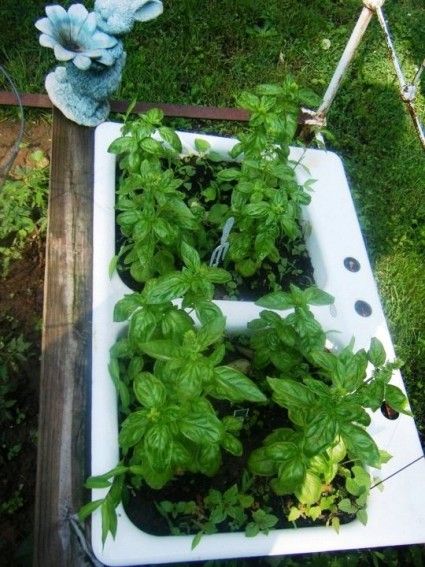 Outdoor Garden Sink, House Diy Ideas, Green Is My Favorite Color, Garden Sink, Flea Market Gardening, Old Sink, Potting Benches, Garden Container, Back Yards