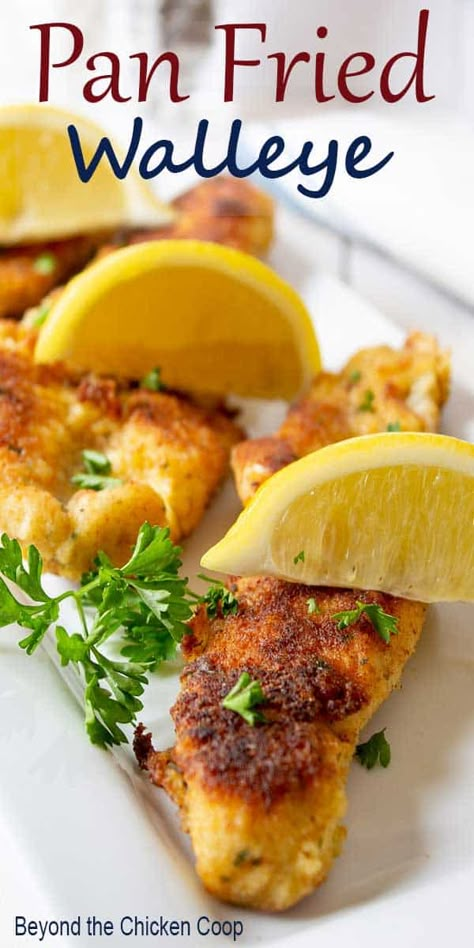 Pan Fried Walleye, Fried Walleye, Frozen Fish Fillets, Walleye Recipes, Walleye Fish, Fish Fried, Walleye Fish Recipes, Pan Fried Fish, Frozen Fish