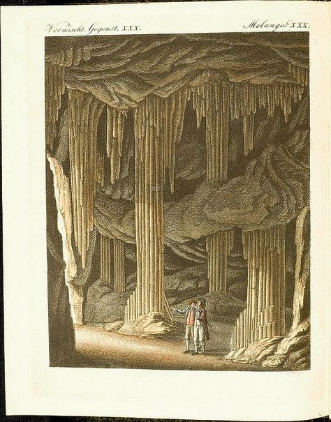 Limestone cave by peacay, via Flickr Cave Images, Fish Prints, Limestone Caves, Cave Drawings, Fish Print, Antique Prints, Rare Books, Science And Nature, Natural History