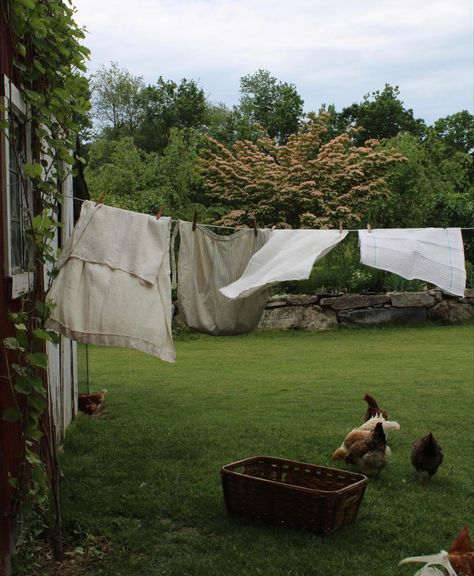 Happy Juneteenth, In My Element, Cottage Aesthetic, Future Farms, Country Lifestyle, Dream Cottage, Slow Life, English Countryside, Future Life