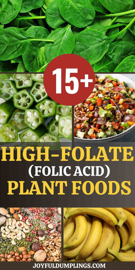 Are you struggling to incorporate enough folate into your diet? Folate, also known as vitamin B9, is a nutrient that’s immensely crucial for our wellbeing.  Here, we will guide you through the potent powerhouses of folate—vegetables! Prepare to supercharge your meals, one bite at a time. Foods High In Folate, Folic Acid Foods, Folate Rich Foods, Folate Foods, Mineral Nutrition, Vitamin B9, Vegan Salad Recipes, Pregnancy Food, Vegan Salad