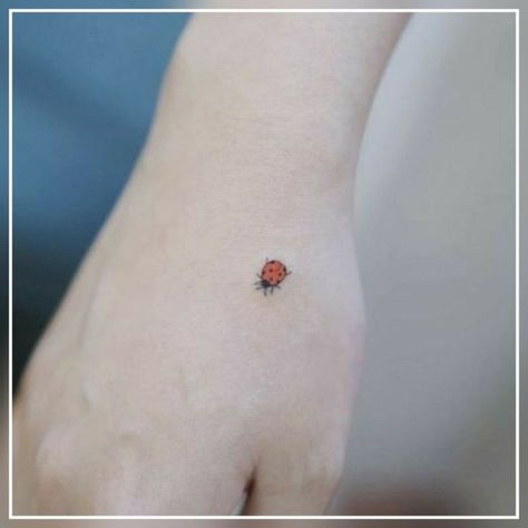 Pin by Melissa Canet on Ink in 2022 | Lady bug tattoo, Small tattoos, Bug tattoo Ladybird Tattoo, Women Tree, Ladybug Tattoo, Christian Sleeve Tattoo, Lady Bug Tattoo, Tree Of, Bug Tattoo, Insect Tattoo, Girls Tattoo