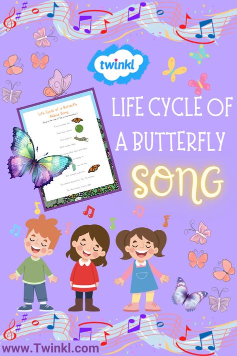 Life Cycle Of A Butterfly Song Butterfly Activity, Butterfly Song, Life Cycle Of A Butterfly, Cycle Of A Butterfly, Butterfly Songs, About Butterflies, Butterflies Activities, Fun Song, Fun Songs