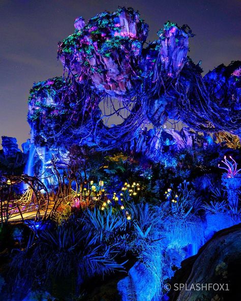 Pandora World Of Avatar, Pandora World, World Of Pandora, District 9, Clouds Sunset, Avatar Pandora, Disney Photography, Disney Side, Cinderella Castle