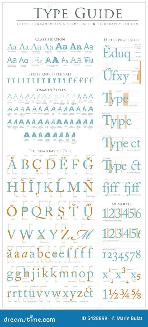 Type anatomy guide stock vector. Illustration of capital - 54288991 Typography Anatomy, Anatomy Of Type, Letter Anatomy, Anatomy Of Typography, Anatomy Guide, Colour Wheel Theory, Type Anatomy, Abc Font, Ancient Writing