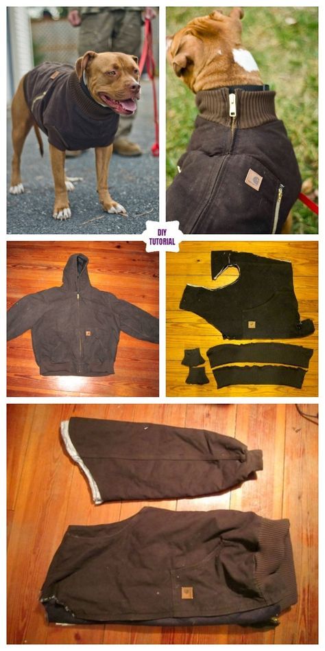 DIY Pet Coat and Sweater Free Sew Patterns & Tutorials Diy Dog Coat, Dog Jacket Patterns, Diy Dog Sweater, Dog Clothes Patterns Sewing, Dog Coat Pattern, Dogs Diy Projects, Diy Outfits, Dog Vests, Dog Clothes Diy