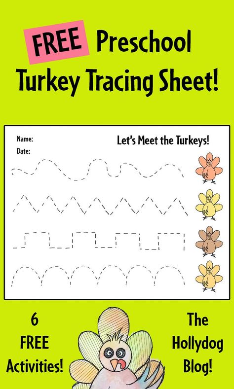 Check out these great FREE Printable Activity Sheets for Toddlers-Preschool! This turkey tracing sheet is great for building pre-writing skills. Turkey Activites for Preschool | Turkey Tracing Page | Preschool Tracing Sheets | Tracing Worksheets Preschool |Tracing lines Preschool Free Printable November Worksheets For Preschool, Tracing Lines Preschool Free Printable, Thanksgiving Worksheets Preschool, November Worksheets, Preschool Turkey, Lines Preschool, Free Printable Activity Sheets, Thanksgiving Activities Preschool, Thanksgiving Crafts Preschool