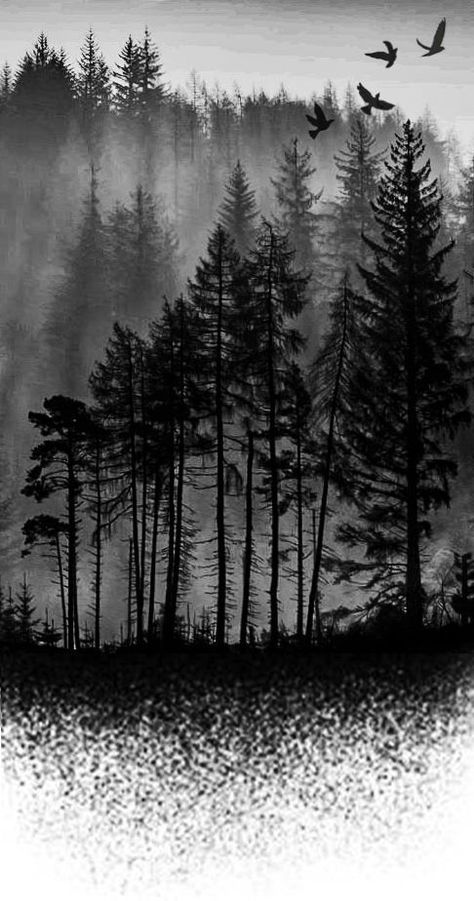 sketch tatoo dark forest | Forest tattoos, Pine tattoo, Nature tattoo sleeve Forest Silhouette Tattoo Design, Arm Band Sleeve Tattoo, Black Forest Tattoo Design, Viking Forest Tattoo, Forest Trees Tattoo, Forest Landscape Tattoo, Dark Forest Tattoo Design, Trees And Mountains Tattoo, Forest Tattoo Design Drawing