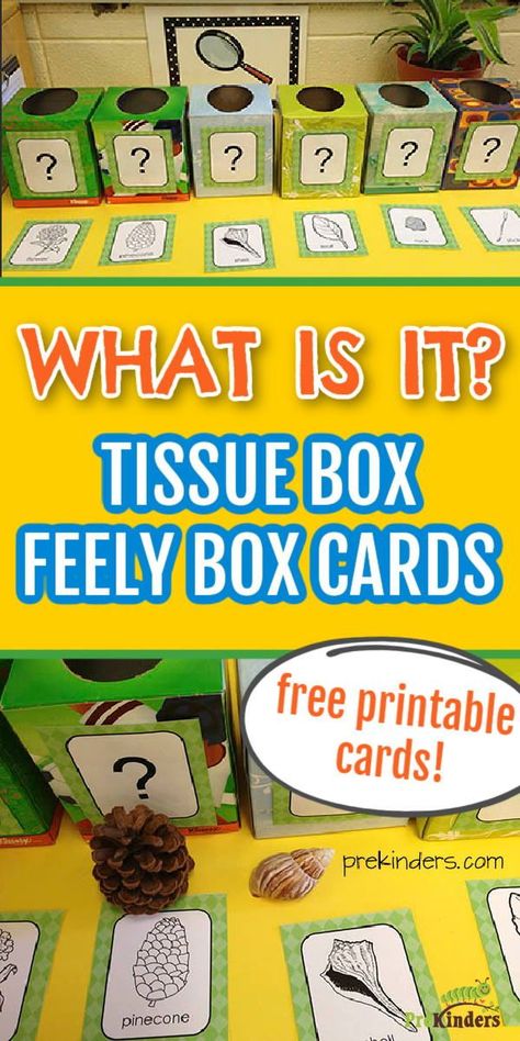 Mystery Activities For Preschool, Box Study Preschool Activities, Sensory Boxes For Preschoolers, Box Study Preschool, Animal Coverings, Spy Activities, Tk Ideas, Science Table, Tissue Box Crafts