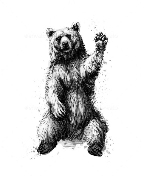 Bear Standing Tattoo, Kodiak Bear Tattoo, Sitting Bear Tattoo, Funny Bear Tattoo, Black Bear Tattoos For Men, Spirit Bear Tattoo, Cali Bear Tattoo, Bear Tattoo Stencil, Bear Tattoos For Men