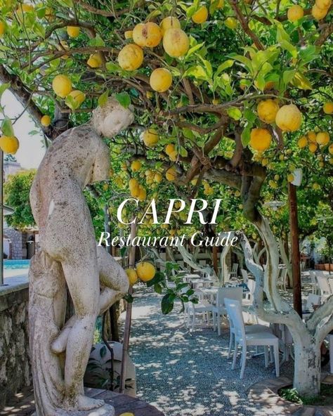 Cozy restaurant on capri with lemon trees and white tables Capri Lemon Restaurant, Restaurants In Capri Italy, Capri Things To Do, Weddings In Capri Italy, Capri Italy Restaurant, Best Restaurants In Capri Italy, Island Of Capri Italy, Naples Capri Italy, Capri Beach Club