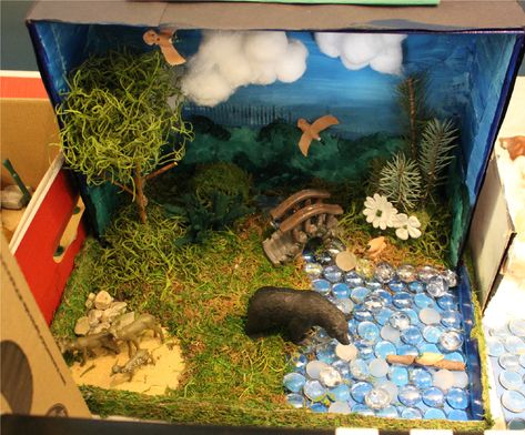 This fourth-grade biome project represents a deciduous forest, home to a variety of animals (including bears!). Wolf Diaroma, Wolf Diorama Ideas, Wolf Habitat Diorama, Wolf Diorama, Wolf Habitat, Deciduous Forest Biome, Ecosystems Diorama, Shoebox Diorama, Biome Project