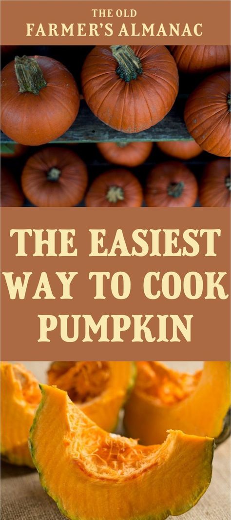 How to Cook a Pumpkin How Do You Cook Fresh Pumpkin, How To Roast Pie Pumpkins, How To Cook Down A Pumpkin, How To Cook With Pumpkin, How To Cook Pie Pumpkins, How To Cook A Pumpkin For Pie, Pie Pumpkins How To Cook, How To Cook Pumpkin For Pie, How To Cook A Pie Pumpkin