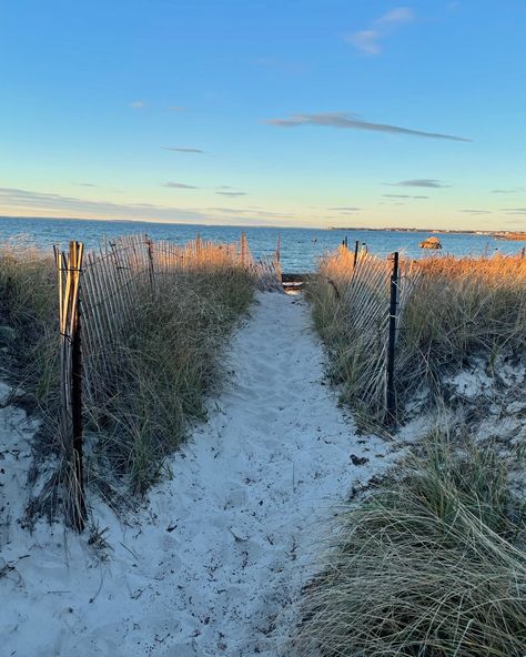 A wholesome fall weekend in New England 🍂🤍🫶🏻 Celebrated my grandpas 90th birthday with the whole fam. 🎂 Went on a bike ride with my cousin and basked Cape Cod’s fall foliage. 🚲🍂 Visited our favorite childhood beach with my sisters 🐚 Toured my uncles farm and tried their homemade honey 🍯 🦙 Played games, drank wine, ate good, and had the best time connecting with my family on the east coast. 🥰 I only wish I lived closer. 🤍 #capecod #fallfoliage #eastcoastliving #homesteadlife #wholesomecontent Cape Cod Trip, Cape Cod Summer Aesthetic, Cape Cod Winter, Cape Cod Town, Hyannis Cape Cod, Cape Cod Towns, Cape Cod Aesthetic, Beach Views, Autumn Weekend