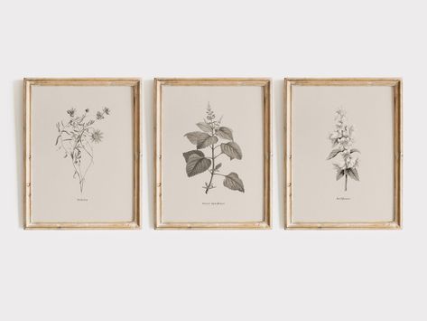 This Digital Prints item by LunariaArtCo has 28 favorites from Etsy shoppers. Ships from United States. Listed on May 29, 2024 Botanical Prints Free, Set Of Three Wall Art, Flower Illustrations, Elegant Wall Art, Prints Vintage, Beige Tones, Vintage Botanical Prints, Set Of 3 Prints, Art Download